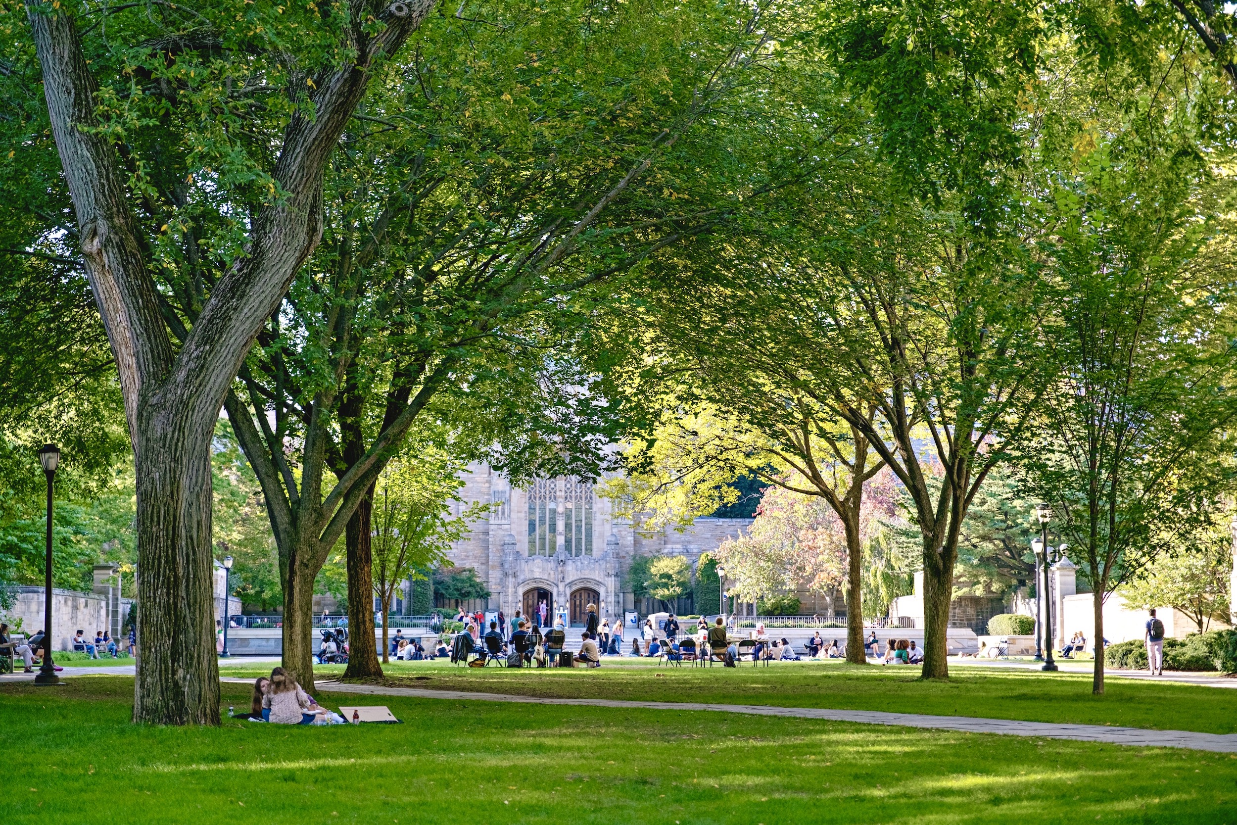 students enjoy the vibrancy of Yale's campus scenery