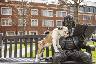 Handsome Dan sitting next to Ben Franklin statue with paws on Franklin's thigh